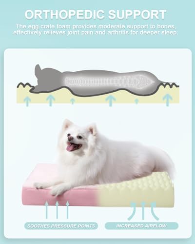 KSIIA Orthopedic Dog Bed for Small Dogs - Image 2