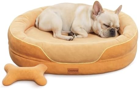 CWAWZ Large Orthopedic Dog Bed, 36 in. Dog Bed by CWAWZ