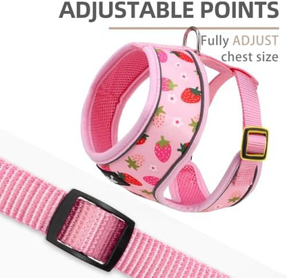 PUPTECK Small Dog Harness and Leash Set No Pull - Image 3