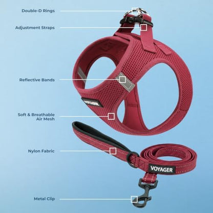 Voyager Step-in Air Cat Harness & Leash Set - Image 2