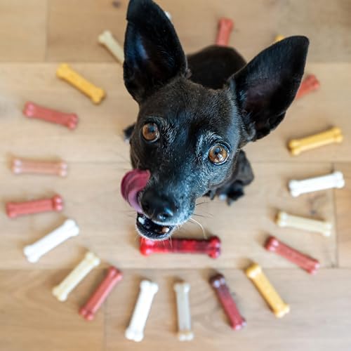 Nylabone Power Chew Customer Favorites Dog Chew Toys - Image 4