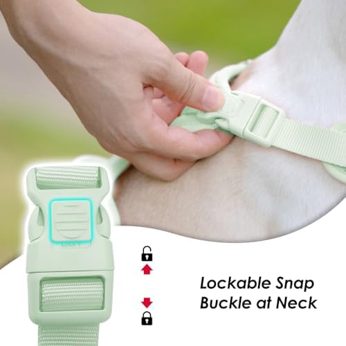Sunraymascota No Pull Dog Harness - Image 2
