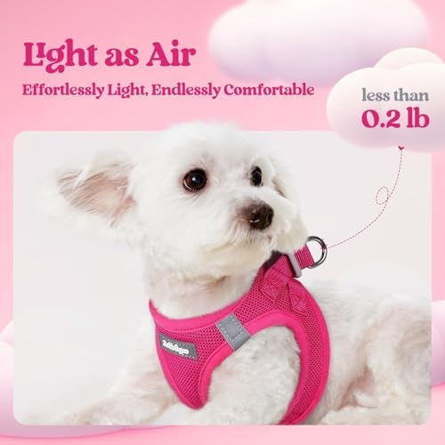 rabbitgoo Dog Harness Small Sized and Leash Set, Step-in Puppy Pet Vest - Image 3