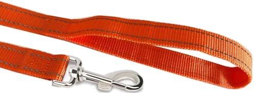 Reflective Dog Leash 4Ft /6 Feet Long, 3/4 Inch Wide, - Image 3