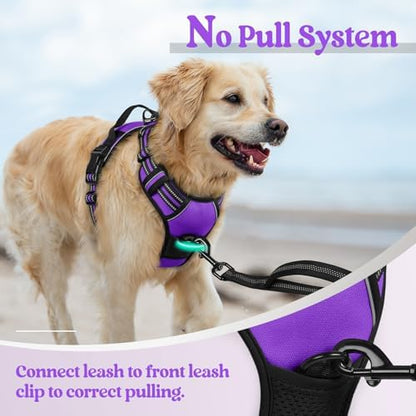 rabbitgoo Dog Harness, No Pull for Large Dogs - Image 5