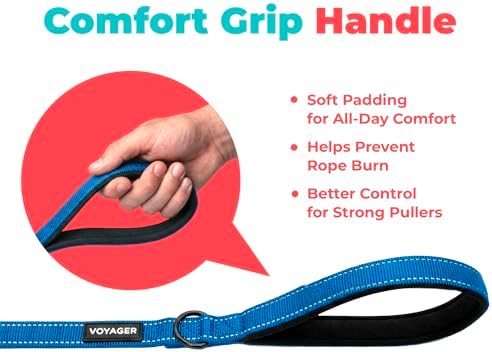 Best Pet Supplies Voyager Nylon Dog Leash - Image 6