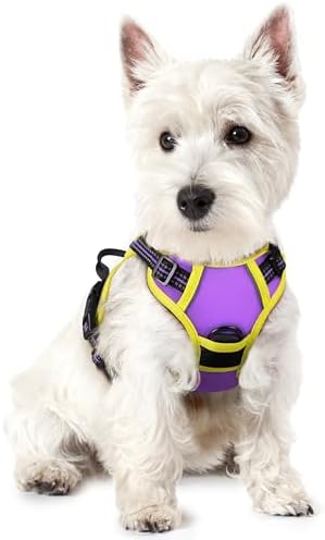 rabbitgoo Dog Harness, No Pull for Small Dogs by rabbitgoo