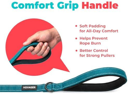 Best Pet Supplies Voyager Nylon Dog Leash - Image 5