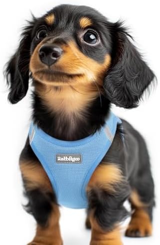 rabbitgoo Step-in Small Dog Harness, Puppy Vest by rabbitgoo