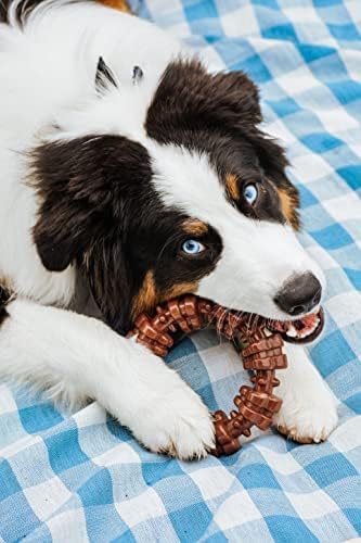 Nylabone Textured Ring Power Chew Toy - Image 2