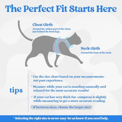 rabbitgoo Cat Harness and Leash Set, Step-in Soft Vest - Image 2