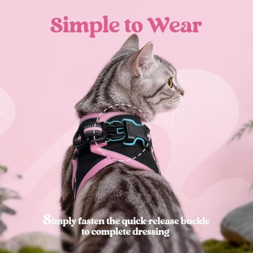 rabbitgoo Cat Harness and Leash Set, Step-in Soft Vest - Image 4