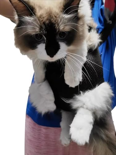 Pet Carrier Backpack - Image 2