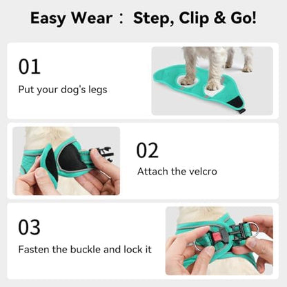 Joytale Step-in Dog Harness, Soft Breathable Mesh, Teal M - Image 3