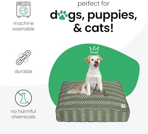 Molly Mutt Muted Green Dog Bed Cover, Non-Toxic & 100% Cotton - Image 3