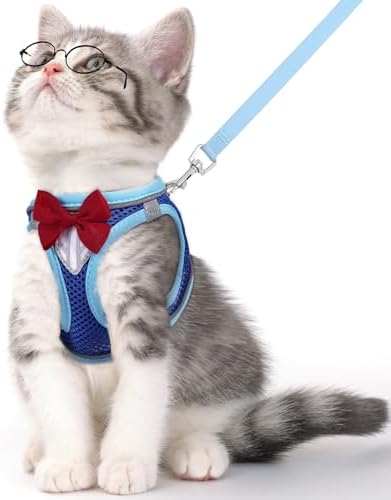 Cat Vest Harness and Leash Set, Escape Proof Kitten Harness Blue XS by NCMAMA