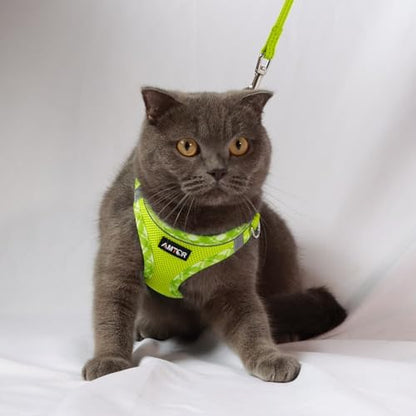 AMTOR Small Dog Harness with Leash Set, No Escape Easy Walk Puppy Harnesses - Image 5