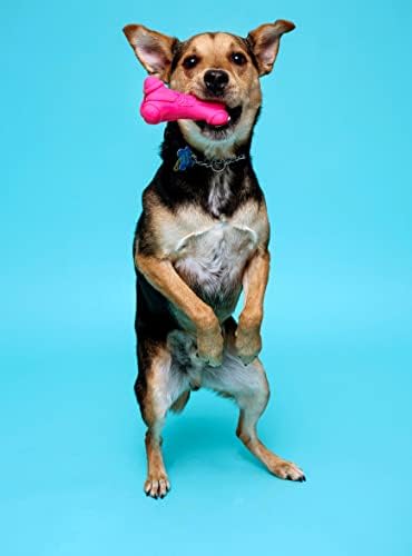 Hartz DuraPlay Bone Squeaky Latex Dog Toy - Image 5