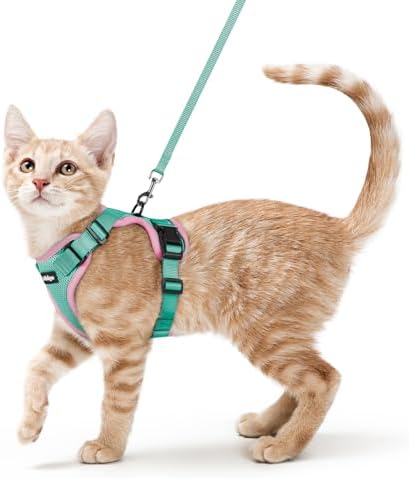 rabbitgoo Cat Harness and Leash Set, Escape Proof Vest by rabbitgoo