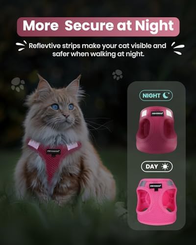FAYOGOO Cat Harness and Leash Set, Escape-Proof Step-in Vest - Image 5