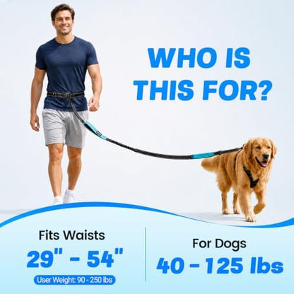 Hands Free Waist Dog Leash, 6-8FT Bungee Leash - Image 2