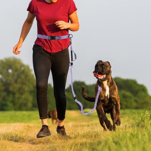 Mile High Life Hands Free Leash, Waist Leash - Image 2