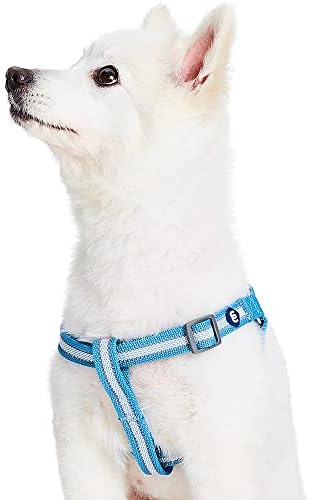 Blueberry Pet Essentials Step-in Reflective Back to Basics Dog Harness - Image 3