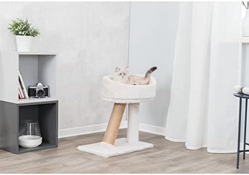 TRIXIE Cabra Cat Scratching Post 19.7 Inch - Image 4