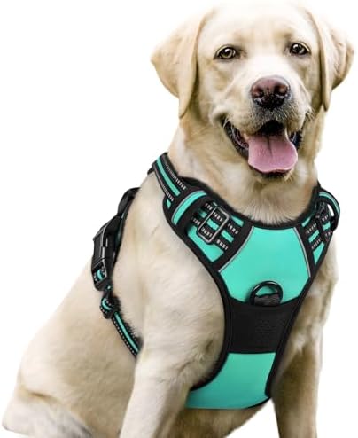 rabbitgoo Dog Harness, No Pull for Large Dogs by rabbitgoo