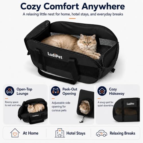 Airline-Friendly Pet Carrier for Cats and Small Dogs - Image 4