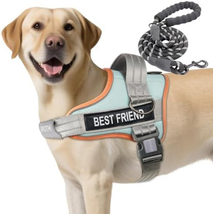 AUROTH Dog Harness for Large Dogs No Pull Tactical Harness and Leash Set by AurothPets