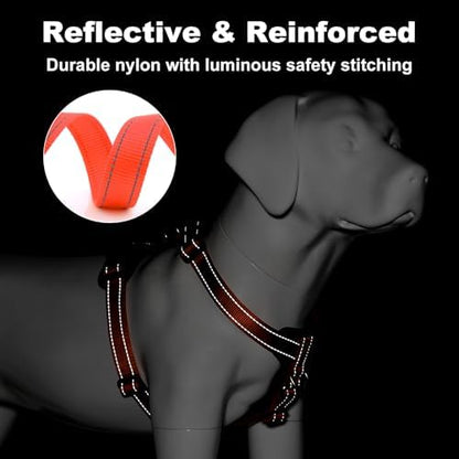 Plutus Pet No Pull Dog Harness - Image 4