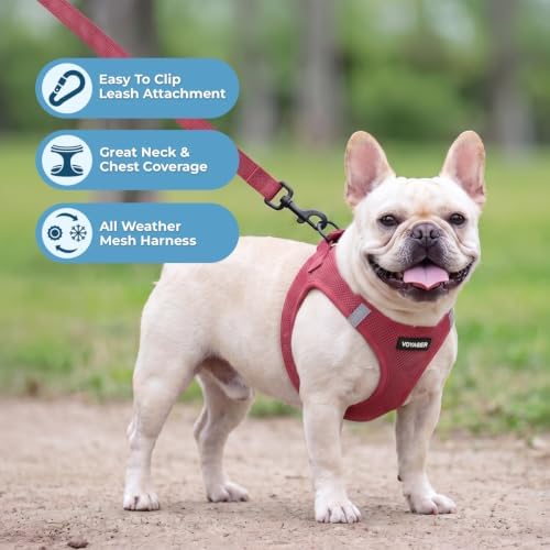 Voyager Step-in Air Cat Harness & Leash Set - Image 5