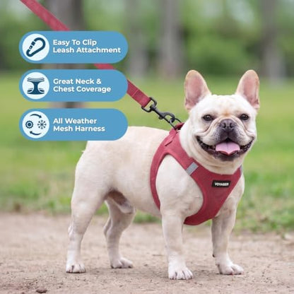 Voyager Step-in Air Cat Harness & Leash Set - Image 5