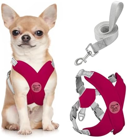 Pawaboo Small Dog Harness and Leash Set, Puppy Harness X-Frame Adjustable by Pawaboo
