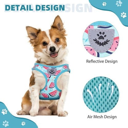 KOOLTAIL Dog Harness and Leash Set - Image 4