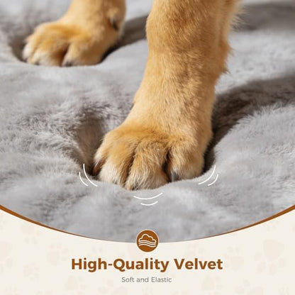 Lekereise Outdoor Elevated Dog Bed, Raised Dog Beds - Image 4