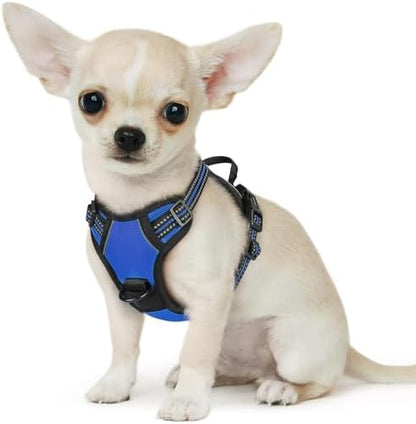 Eagloo Dog Harness for Small Dogs, No Pull Pet Vest by GoExplorewithEagloo