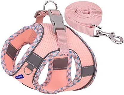 Step in Mesh Dog Harness and Leash Set Breathable Air Mesh Harness - Image 2