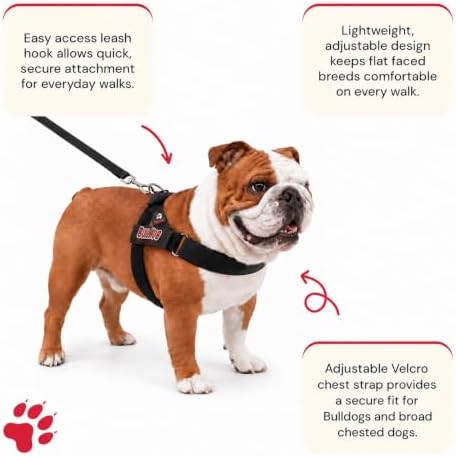 BULLHUG Adjustable Dog Harness– No Pull, No Choke – - Image 2