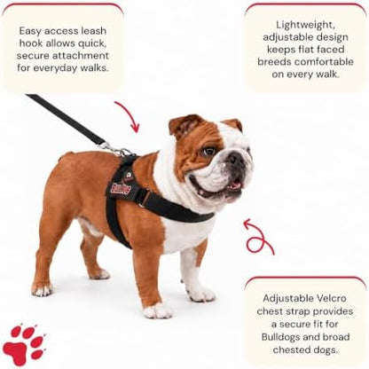 BULLHUG Adjustable Dog Harness– No Pull, No Choke – - Image 2