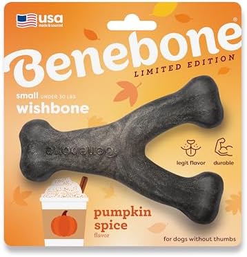 Benebone Wishbone Chew Toy for Aggressive Chewers, Pumpkin Spice by Benebone