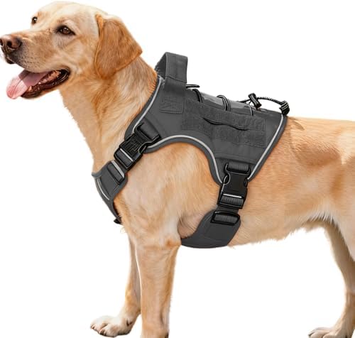 Heavy-Duty Tactical Dog Harness by Bruvoalon