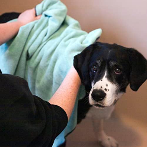 Ritz Embroidered Microfiber Pet Towel, Paw Spa Blue, 2 Towel Set - Image 4