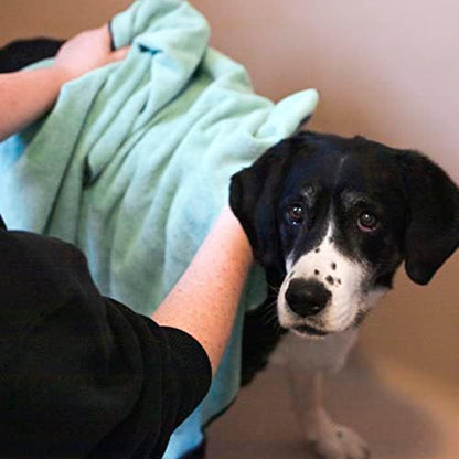 Ritz Embroidered Microfiber Pet Towel, Paw Spa Blue, 2 Towel Set - Image 4