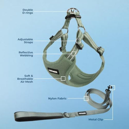 Best Pet Supplies Voyager Adjustable Step-in Flex Breathable Mesh Dog Harness - Image 3