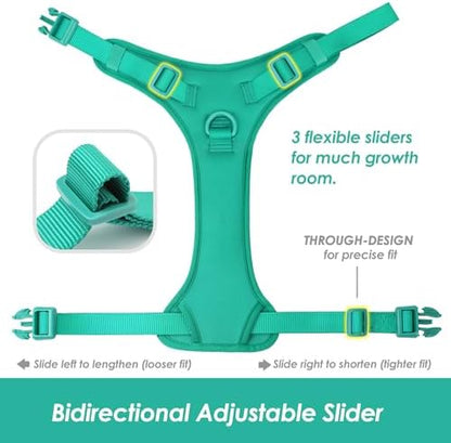 Sunraymascota No Pull Dog Harness - Image 4