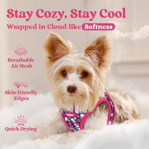 rabbitgoo Step-in Small Dog Harness, Puppy Vest - Image 3
