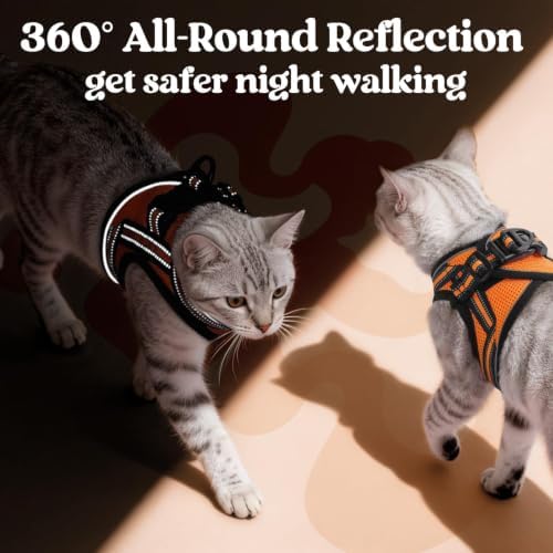 rabbitgoo Cat Harness and Leash Set, Step-in Soft Vest - Image 5