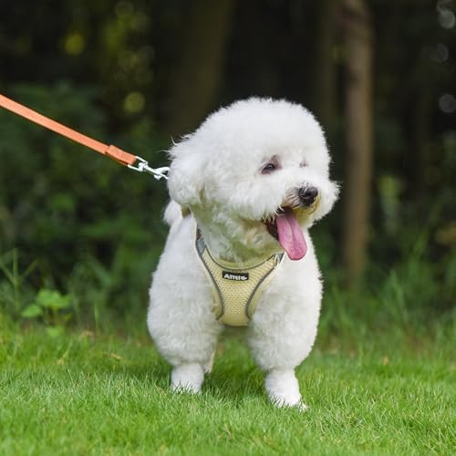 AIITLE Medium Dog Harness and Leash Set, Step-in Puppy Pet Vest - Image 2